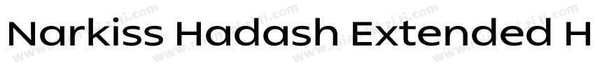 Narkiss Hadash Extended Heavy字体转换